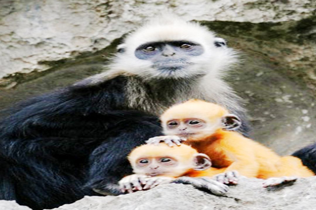 德天独厚大新欢迎您