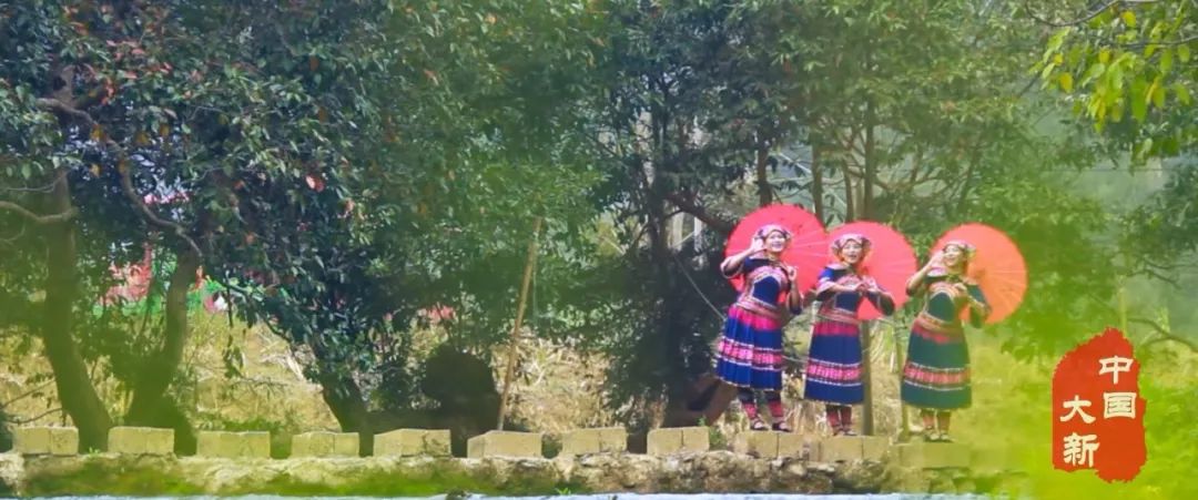 大新县旅游资源