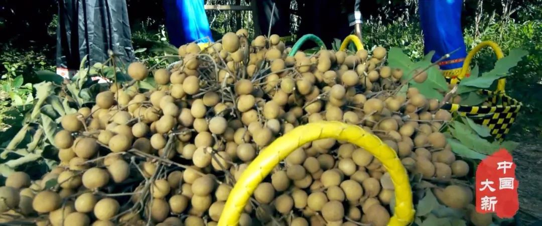 大新县旅游资源