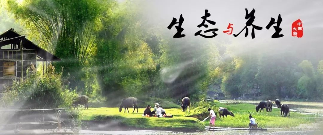 大新县旅游资源