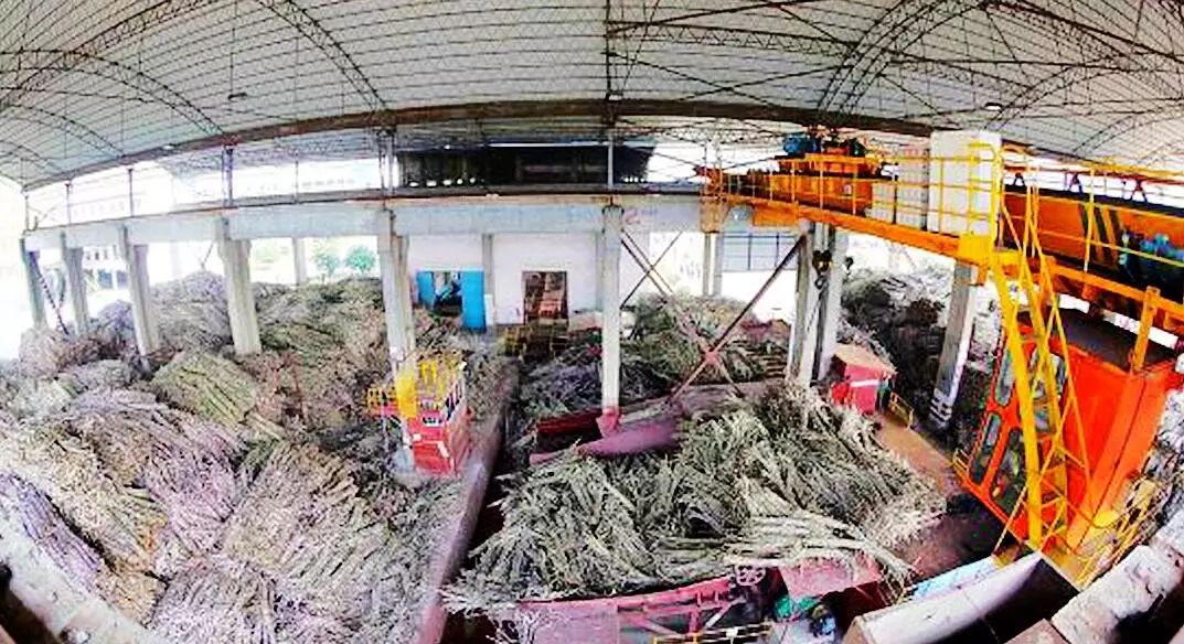 大新县支柱产业