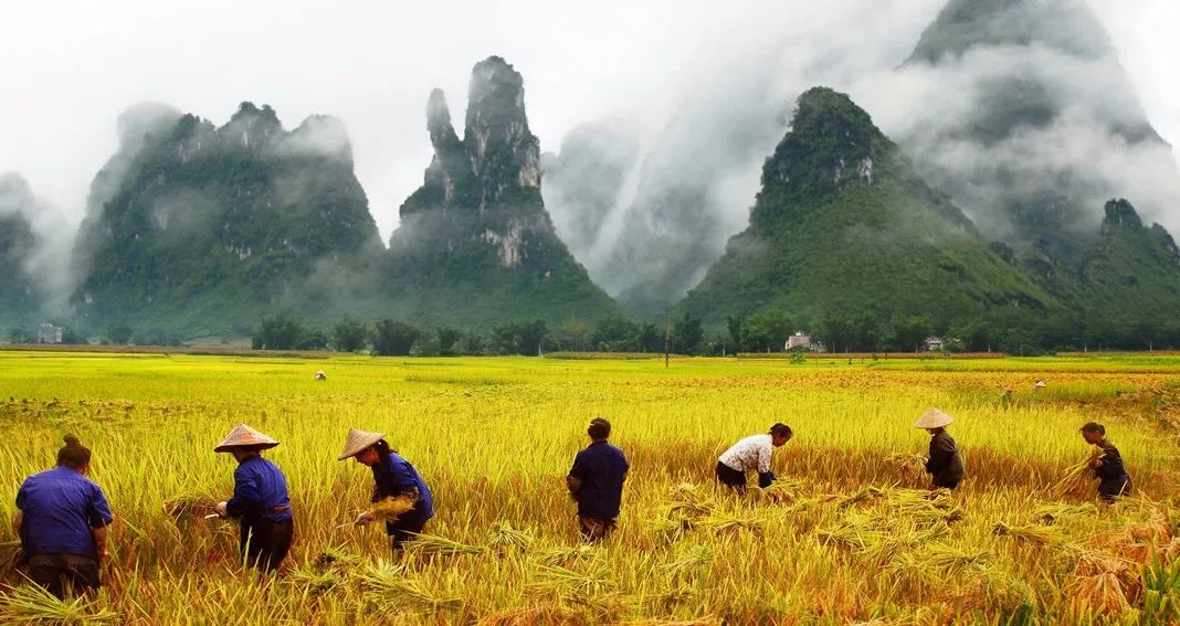 德天独厚大新欢迎您