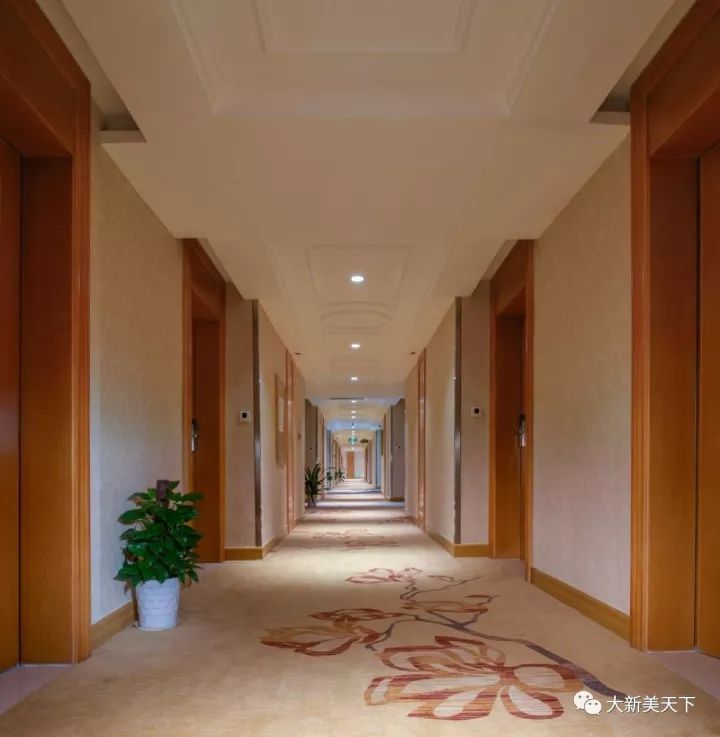 维也纳国际酒店（4星级）