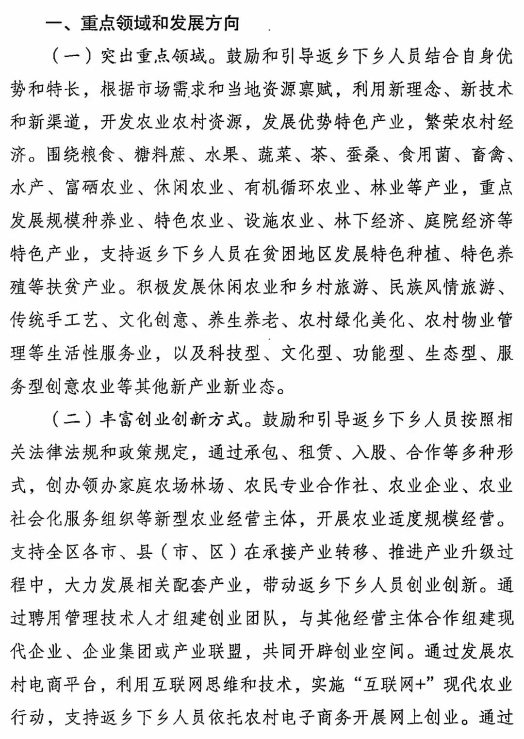 广西壮族自治区人民政府办公厅关于进一步支持返乡人员创业创新促进农村一二三产业融合发展的实施意见