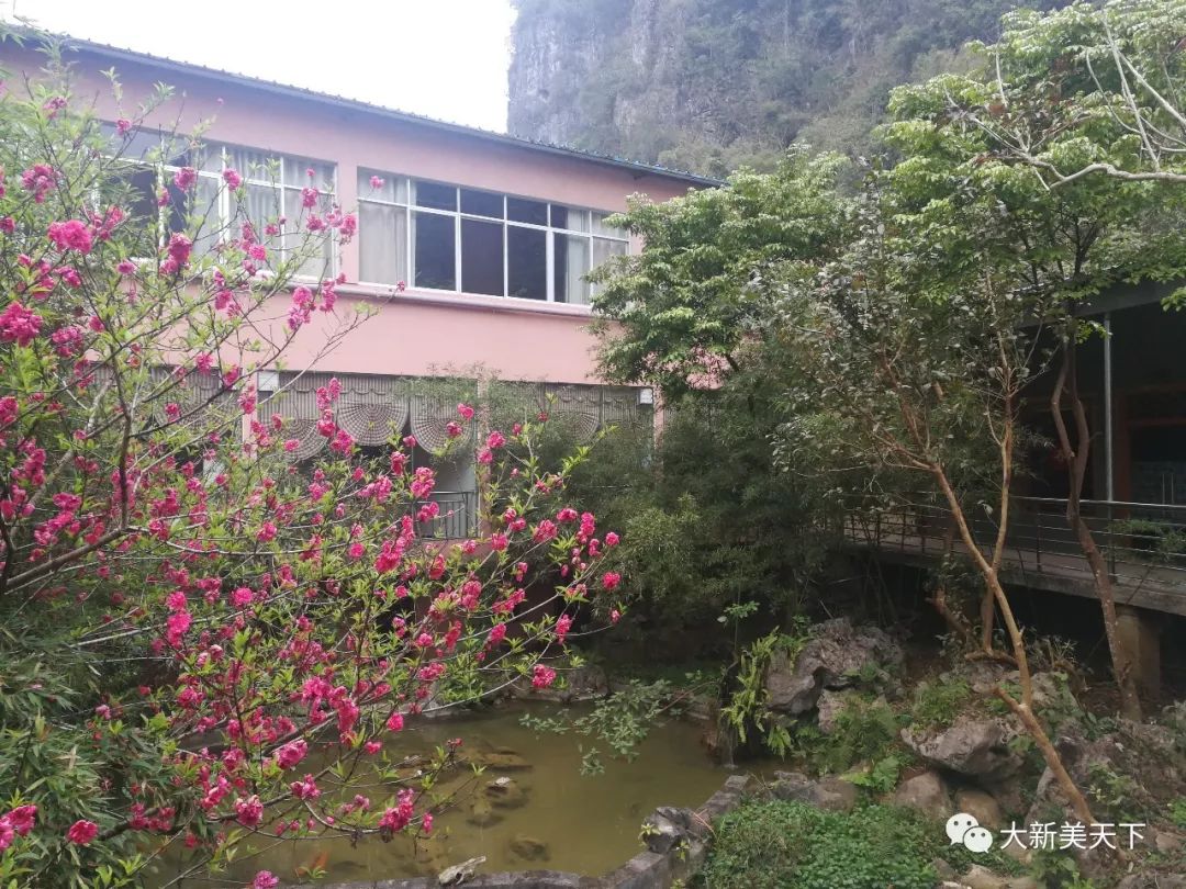 大阳谷山庄（四星级农家乐）