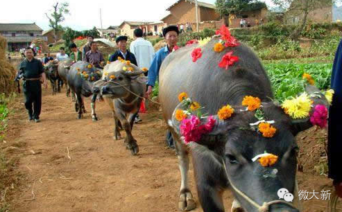 大新文化资源概况