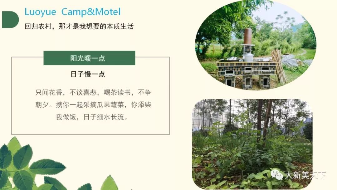 骆越自驾游营地（五星级农家乐）