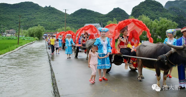 大新文化资源概况