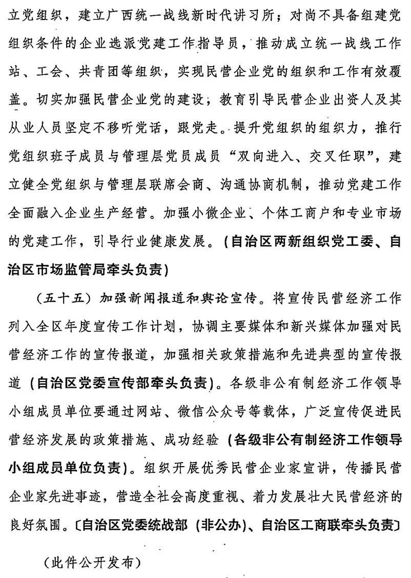 中共广西壮族自治区委员会自治区人民政府关于着力发展壮大民营经济的意见
