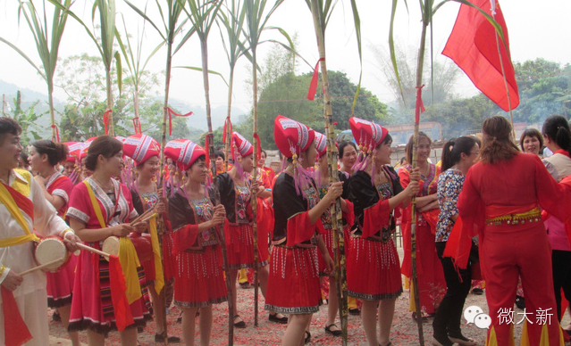 大新文化资源概况