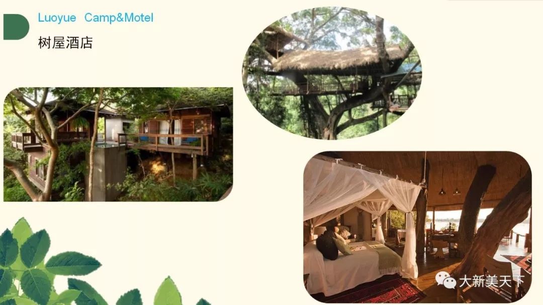 骆越自驾游营地（五星级农家乐）