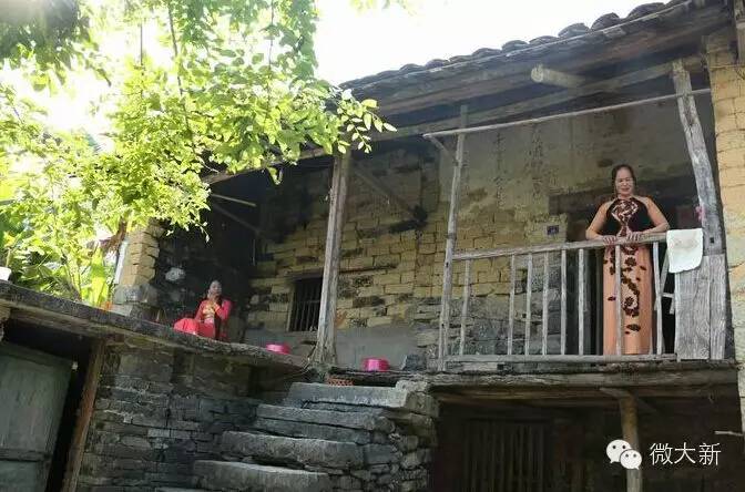 大新文化资源概况