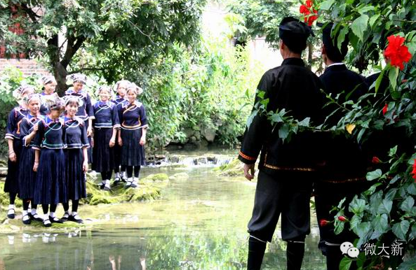 大新文化资源概况