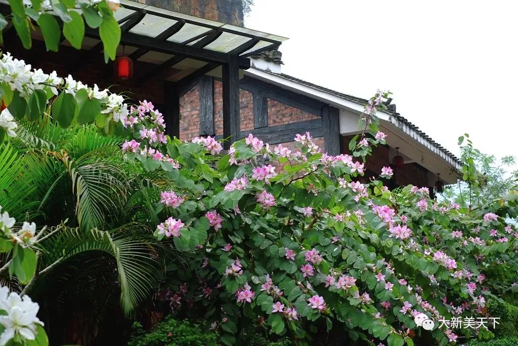 明仕山庄（壮乡文化主题）