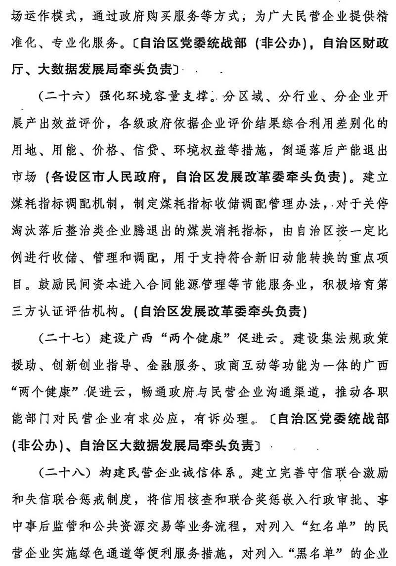 中共广西壮族自治区委员会自治区人民政府关于着力发展壮大民营经济的意见