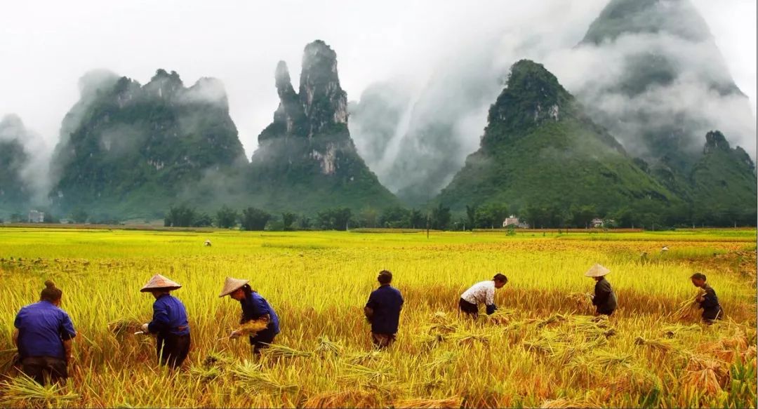 项目招商：大新县那岭乡龙宫仙境景区配套建设