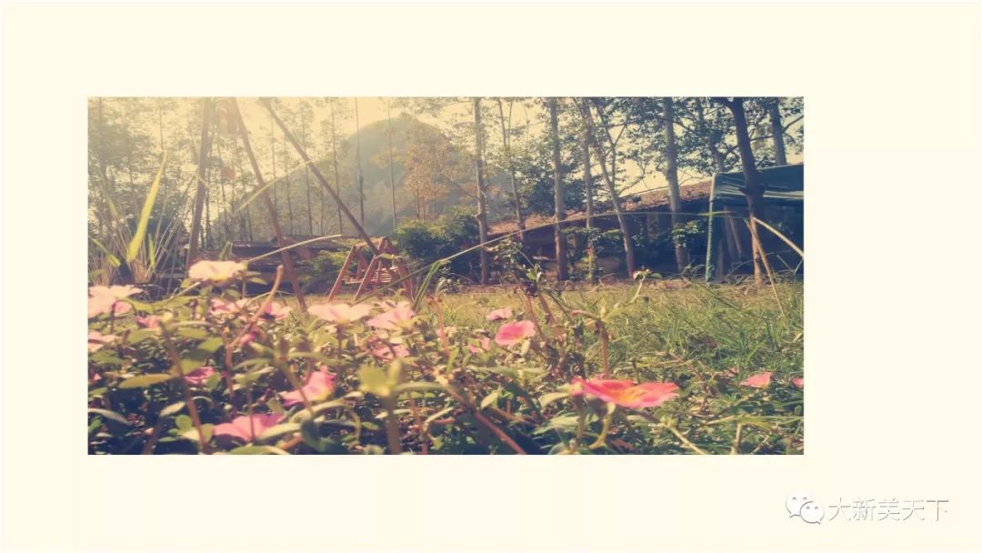 骆越自驾游营地（五星级农家乐）