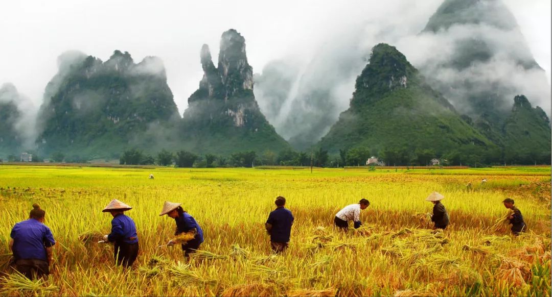 国务院关于边境贸易有关问题的通知及相关政策文件